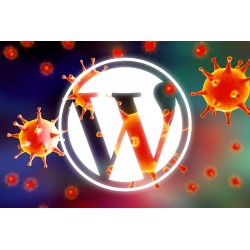 Usuwanie wirusów z systemów PrestaShop, WordPress